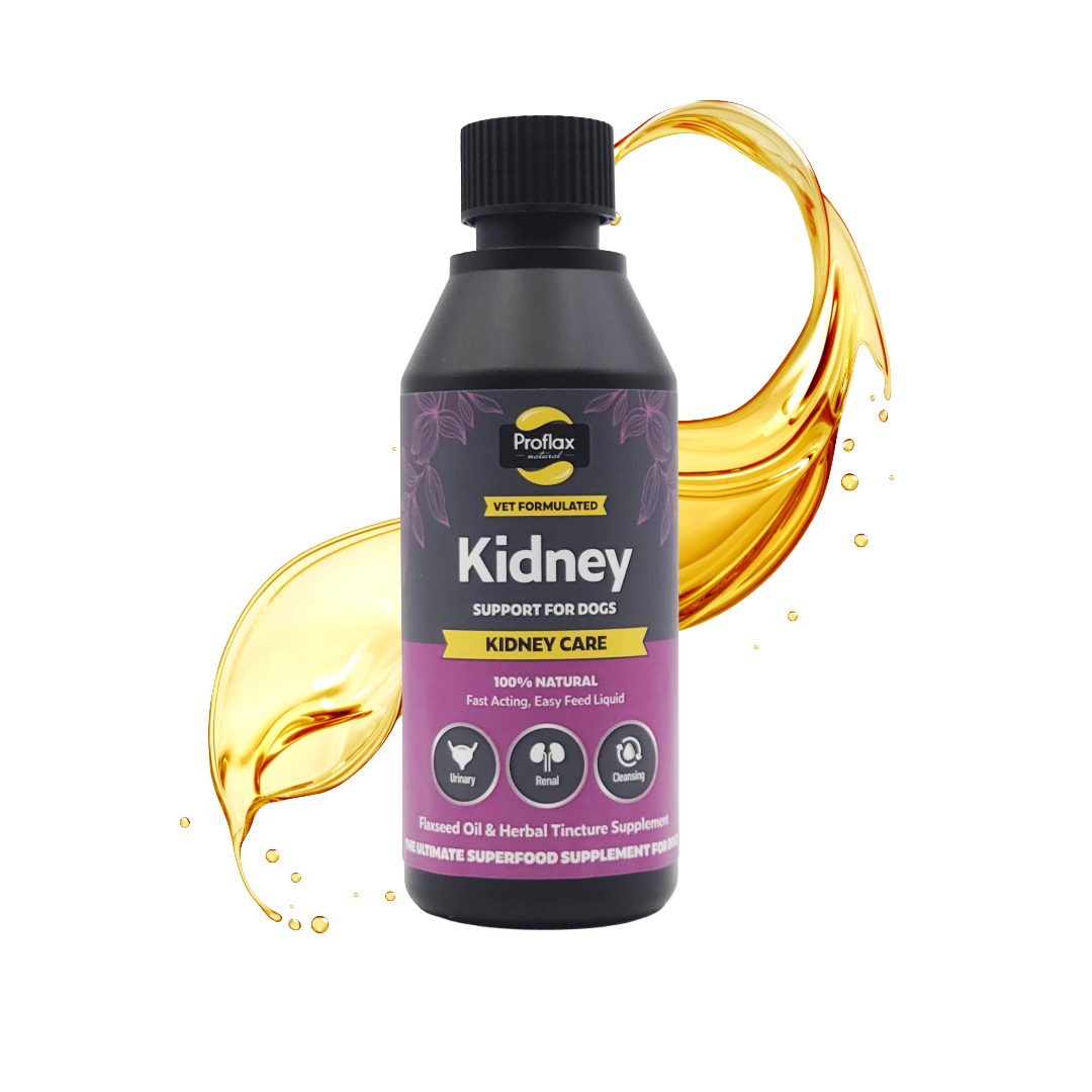 RenaLux エッセンス 30mL Proflax Kidney Care for Dogs | | 100% Natural Holistic Oil