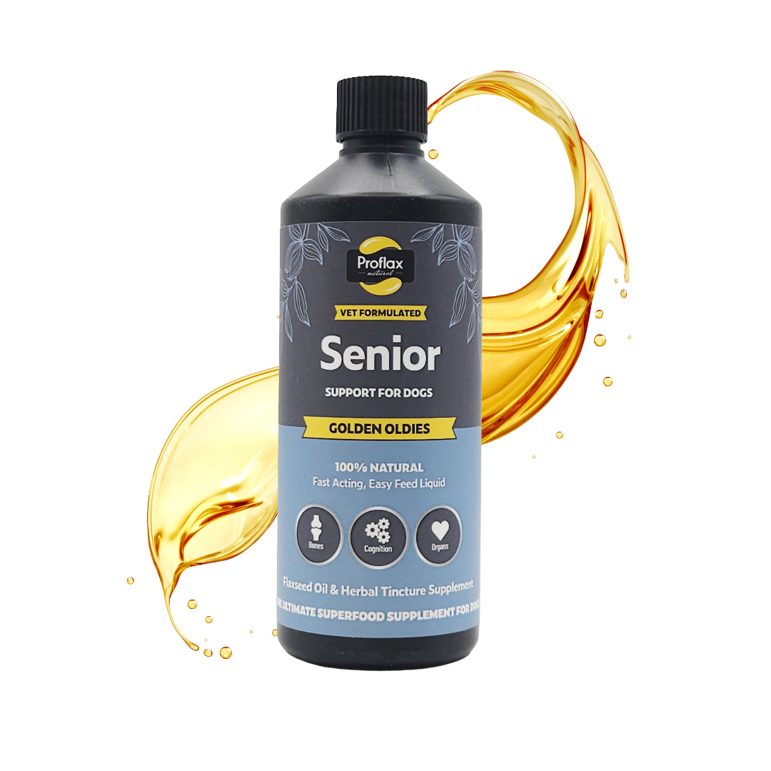 Senior Complete Blend for Dogs - Golden Oldies