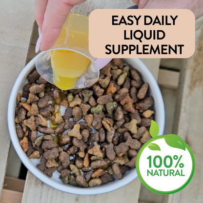 Liver & Cleansing Support for Dogs - Liver Love