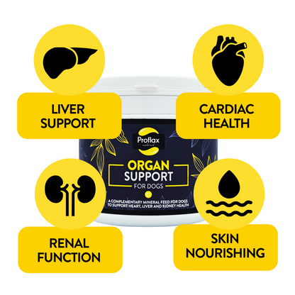 Proflax Organ Support For Dogs 350g