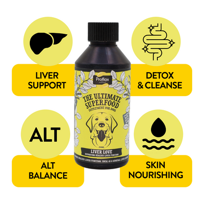 Liver & Cleansing Support for Dogs - Liver Love
