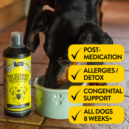 Liver & Cleansing Support for Dogs - Liver Love