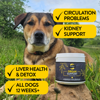 Proflax Organ Support For Dogs 350g