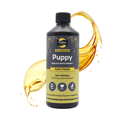 Puppy Digestion & Growth Support - Puppy Power