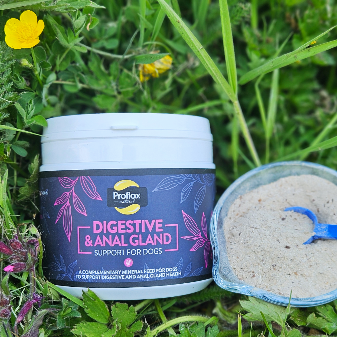 Proflax Digestive & Anal Gland Support for Dogs 350g
