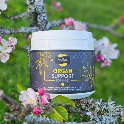 Proflax Organ Support For Dogs 350g