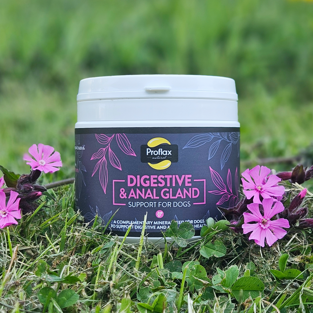 Proflax Digestive & Anal Gland Support for Dogs 350g